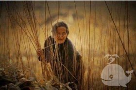 梦见母亲去世自己大哭后又复活