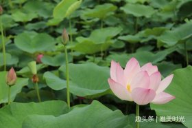 夫妻相处心灵鸡汤句子